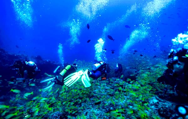 ### Искусственные рифы и центры морской жизни