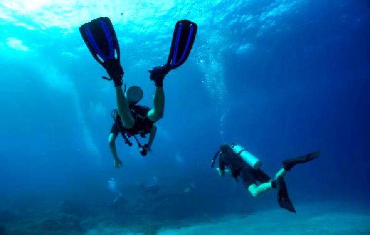 Дзен подводного плавания: Путь к душевному равновесию