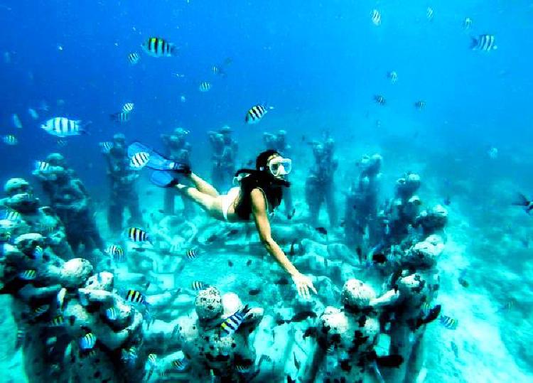 Путешествие в Саргассово море: погружение в плавающие водоросли