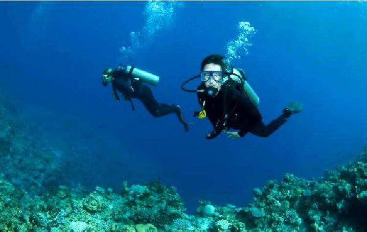 Исследование рифов Мадагаскара: Уникальный опыт подводного плавания